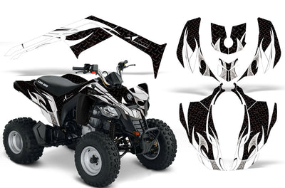 Can Am DS250 Graphics (Bombardier DS 250) 2006-2023
