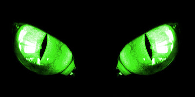 Headlight graphic decals with glowing green eyes and black slit details