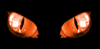 Pair of orange headlight graphics with eye-shaped center and vertical slits