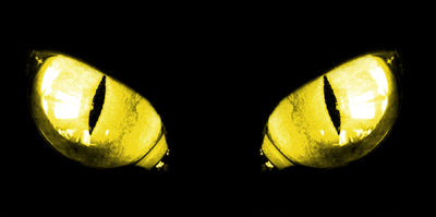 Kawasaki Ninja ZX 10R headlight graphic with yellow lens glow, pair