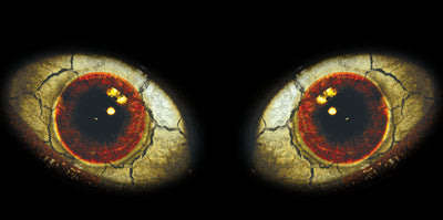 Arctic Cat M Series Headlight Eye Graphics