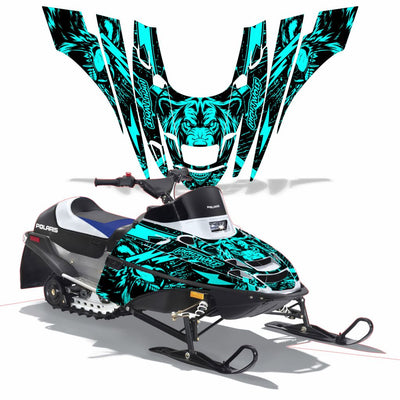 Snowmobile graphics kit with teal skull graphics on hood and front side panels