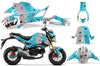 Teal P40 Warhawk Design on a Honda Grom 125 Graphics Kit (2017–2020)