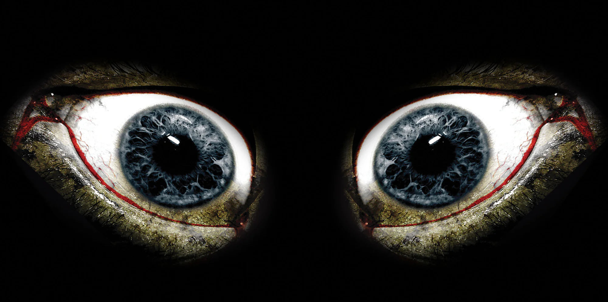 Kawasaki Ninja 636 Headlight Graphics (2013-2014)