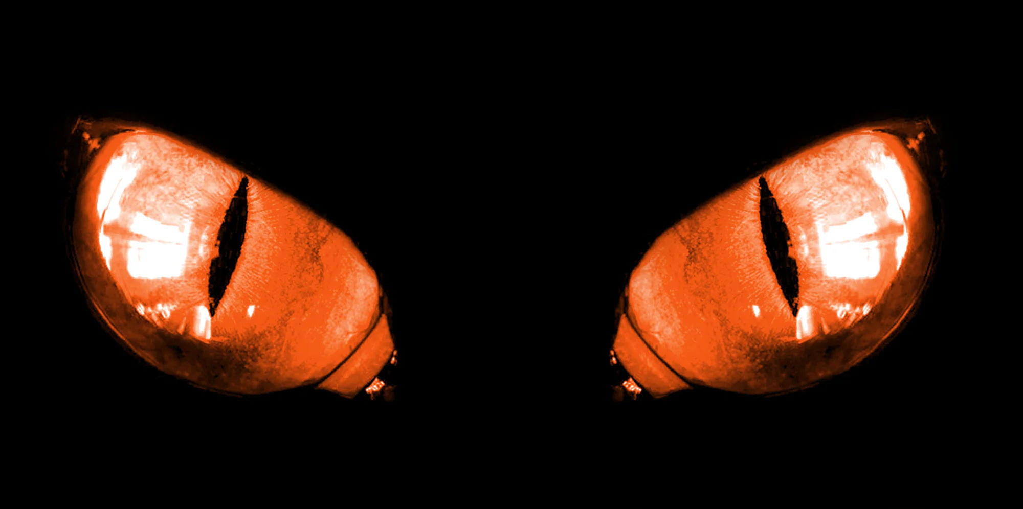 Kawasaki Ninja 650R Headlight Graphics (2012-2014)