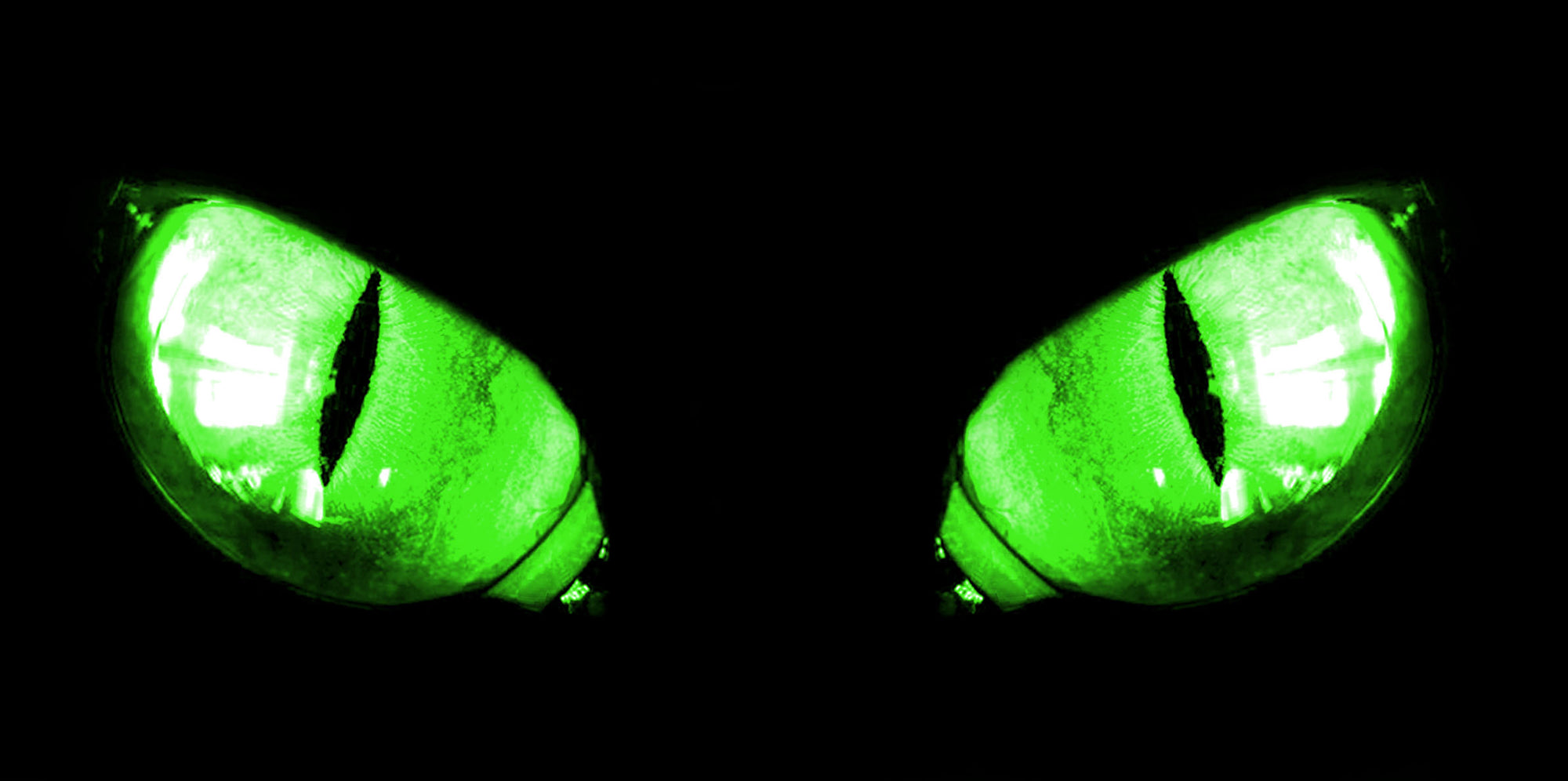 Honda Recon Quad Headlight Eye Graphics