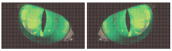 Eclipse - GREEN (Visual Design Sample)