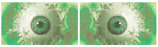 Spiced - GREEN (Visual Design Sample)