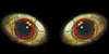 Ski Doo Rev XP (2008-2012) Head Light Eye Graphics