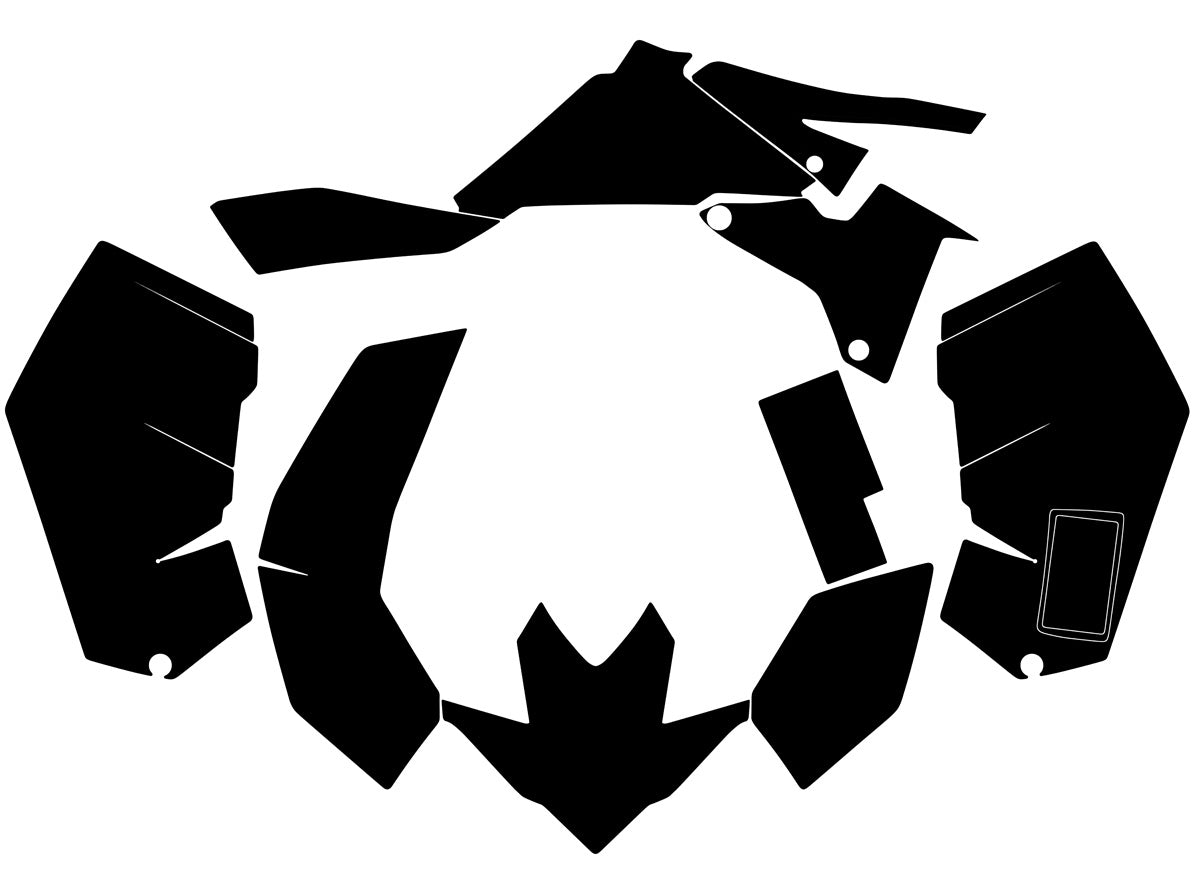 '06-'09 LTR 450 Decal Layout