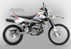 Racer X - White Background, Black Stripes