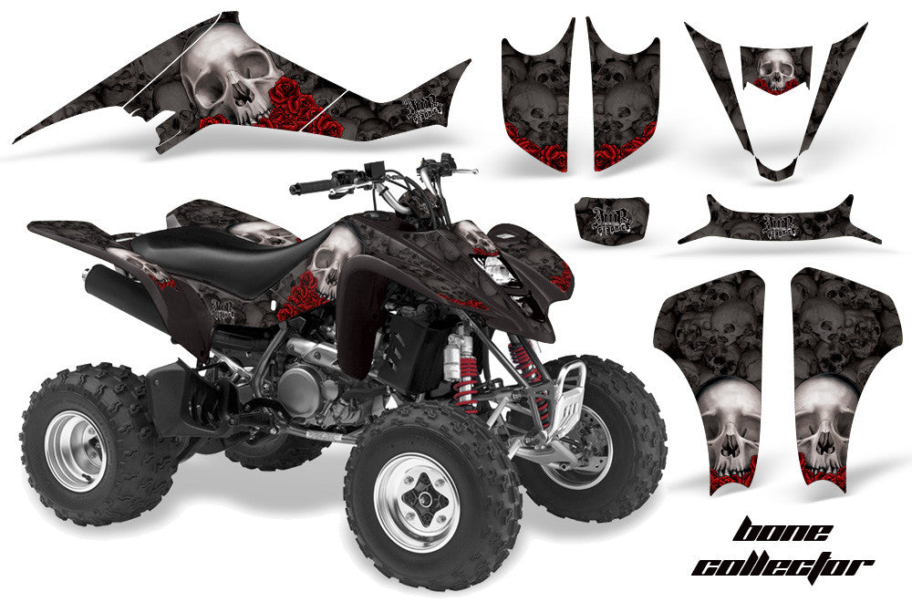 Kawasaki KFX 400 Graphics