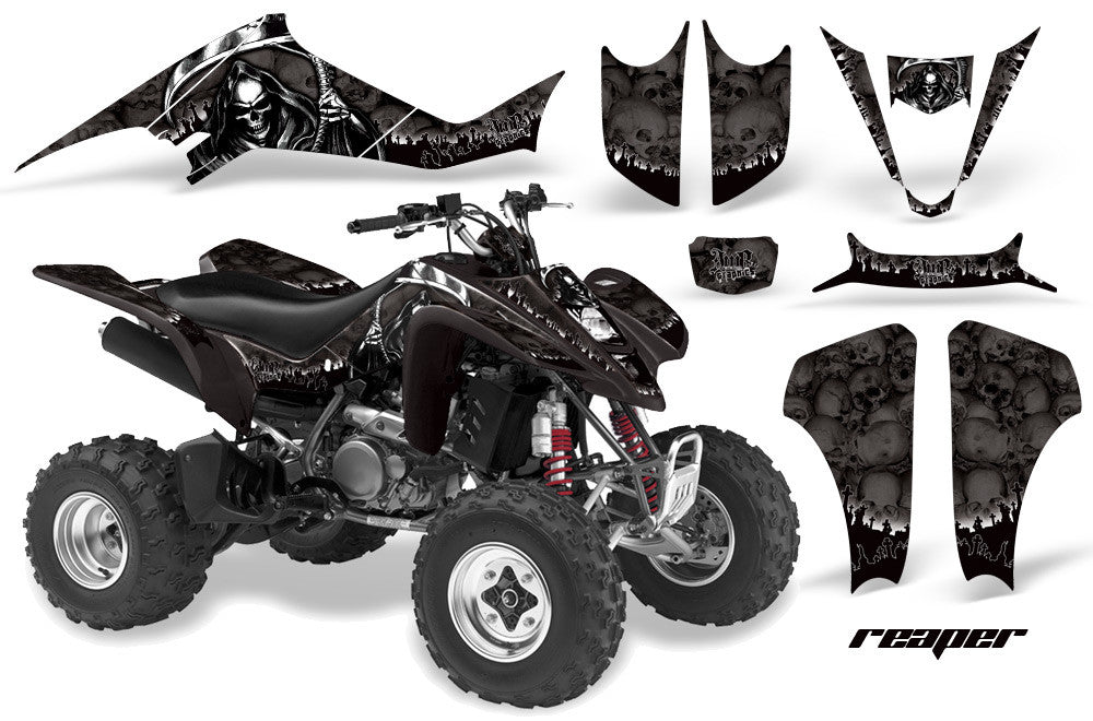Kawasaki KFX 400 Graphics