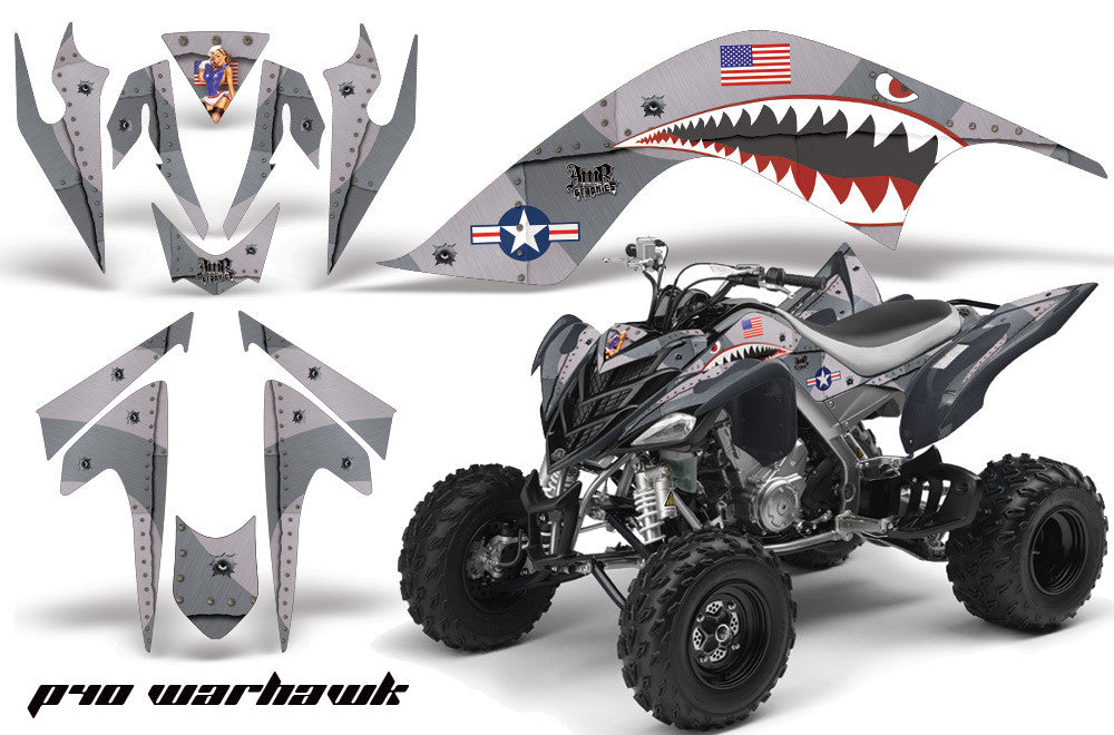 P40 Warhawk - Silver Design